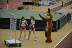 10.02.2017: Gugl-Meeting Indoor, Linz