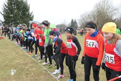 12.02.2017: Niederbayerische Crosslauf-Meisterschaften, Geiselhöring